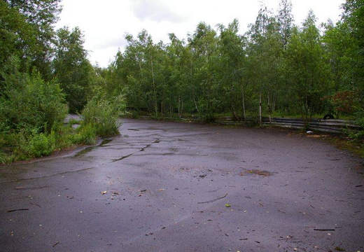 almaring019