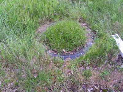 Baarlo  47 